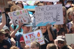 protest signs