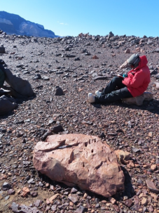 scientist taking notes next to boulder