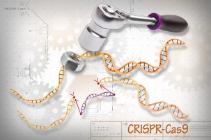 A rendering of CRISPR-Cas9