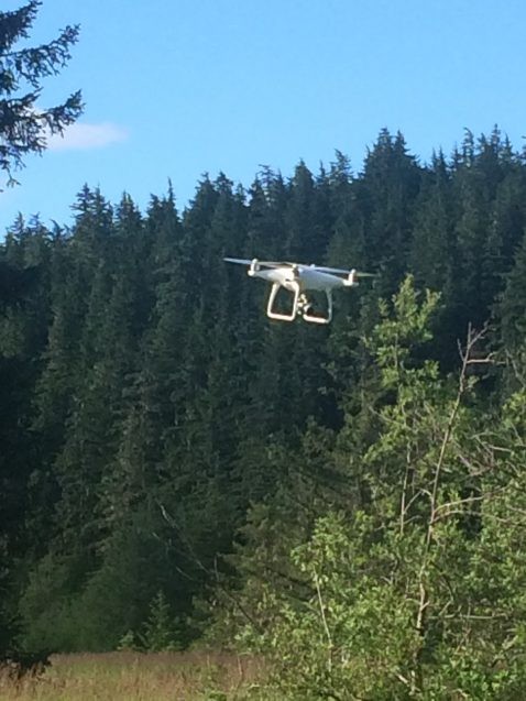 drone flying with trees in background