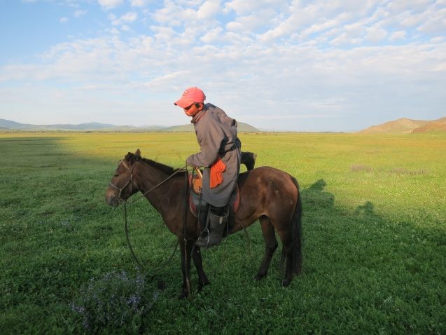 livestock herder in Mongolia