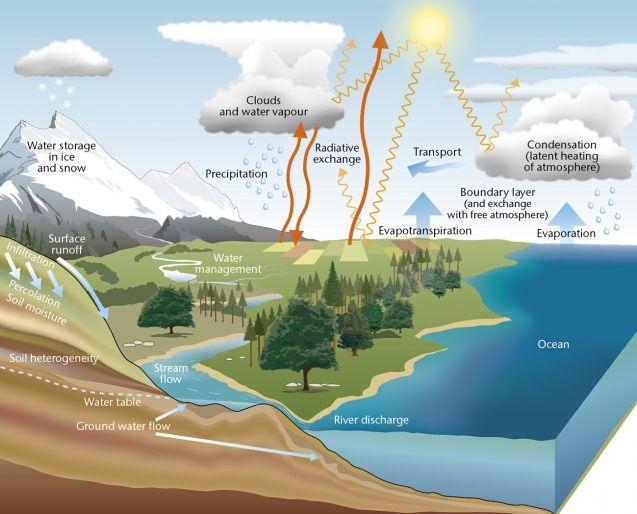 water cycle diagram