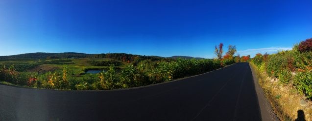 road and fall foliage