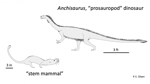 drawing of dinosaur and proto-mammal