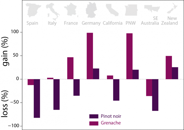 wine gains and losses by country