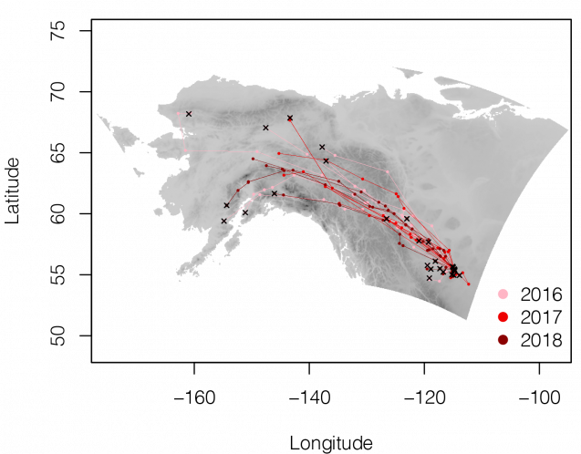 map of spring migration routes over three years
