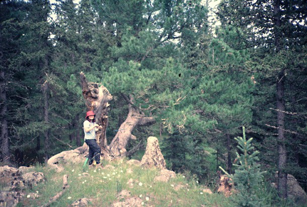 rosanne d'arrigo in front of tree