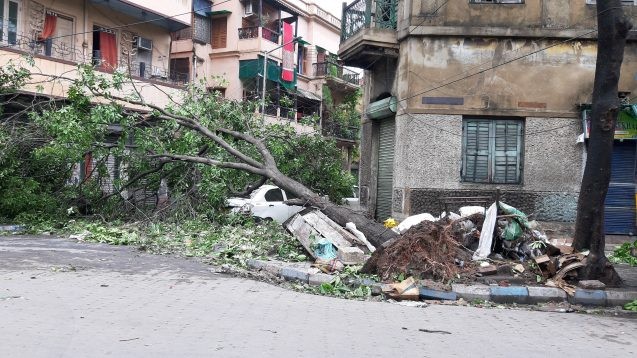 tree fallen on car in calcutta