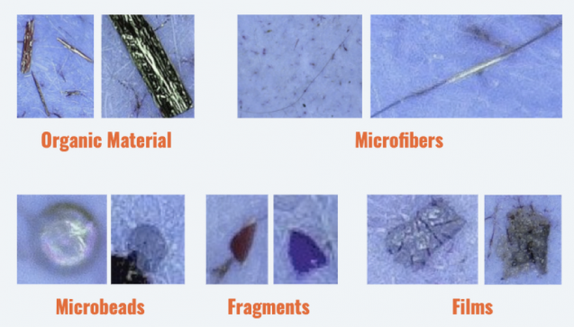 photos of different kinds of microplastics