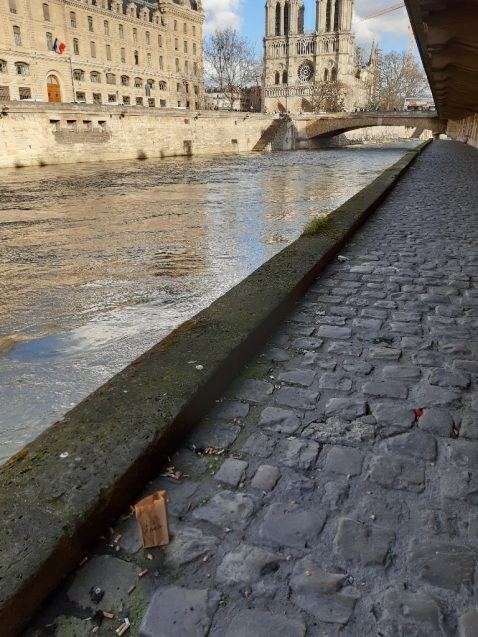 A paper bag filled with a soil sample, with Notre Dame in the background