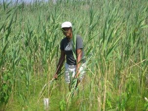 girl in reeds 303x227.jpg