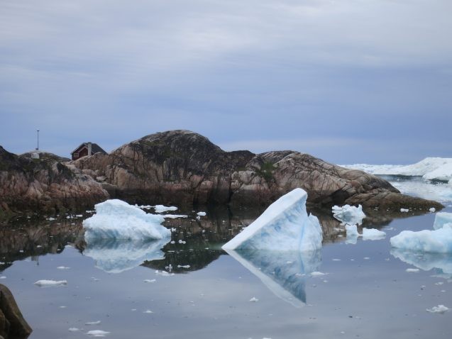 icebergs in water