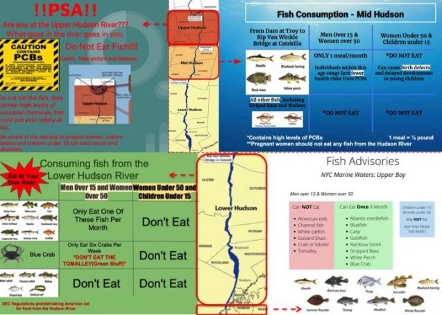 advisories about eating fish from the hudson