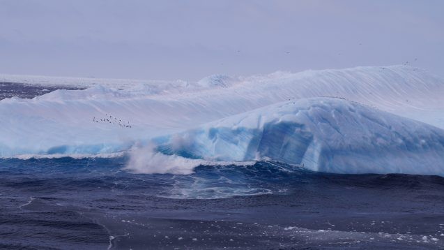 Adélie penguins on capsized iceberg in the Wedell sea Antarctica cTorstenAlbrecht 637x358.jpg