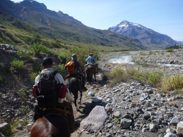 researchers on horseback with mountains in the background