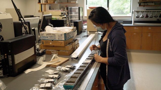 researcher with a mask works on sediment core