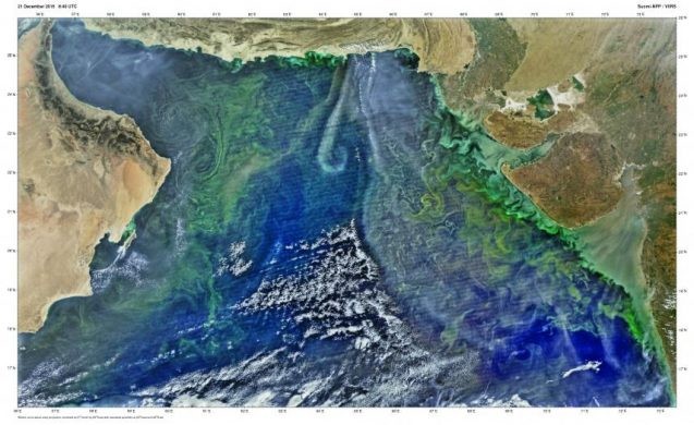 satellite image of noctiluca blooms in arabian sea