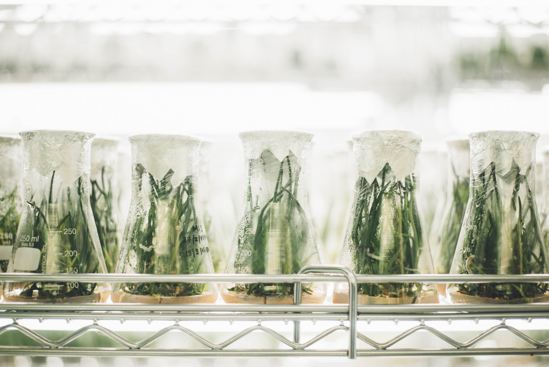 biden administration revitalize sciences