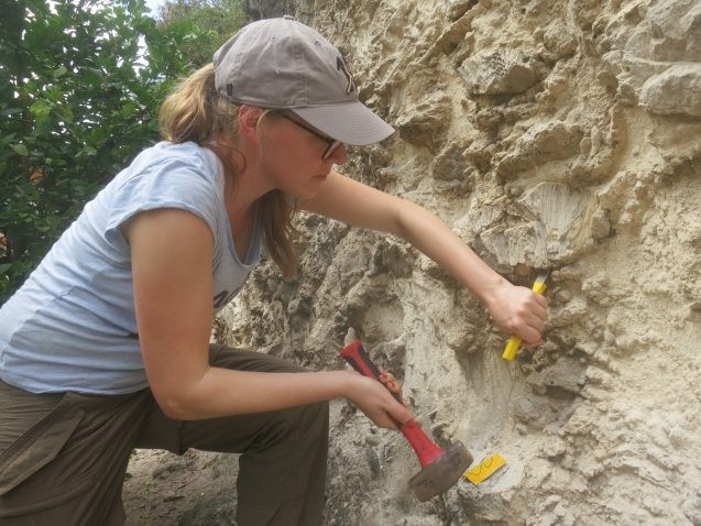 austermann chiseling a fossil from a rock outcrop