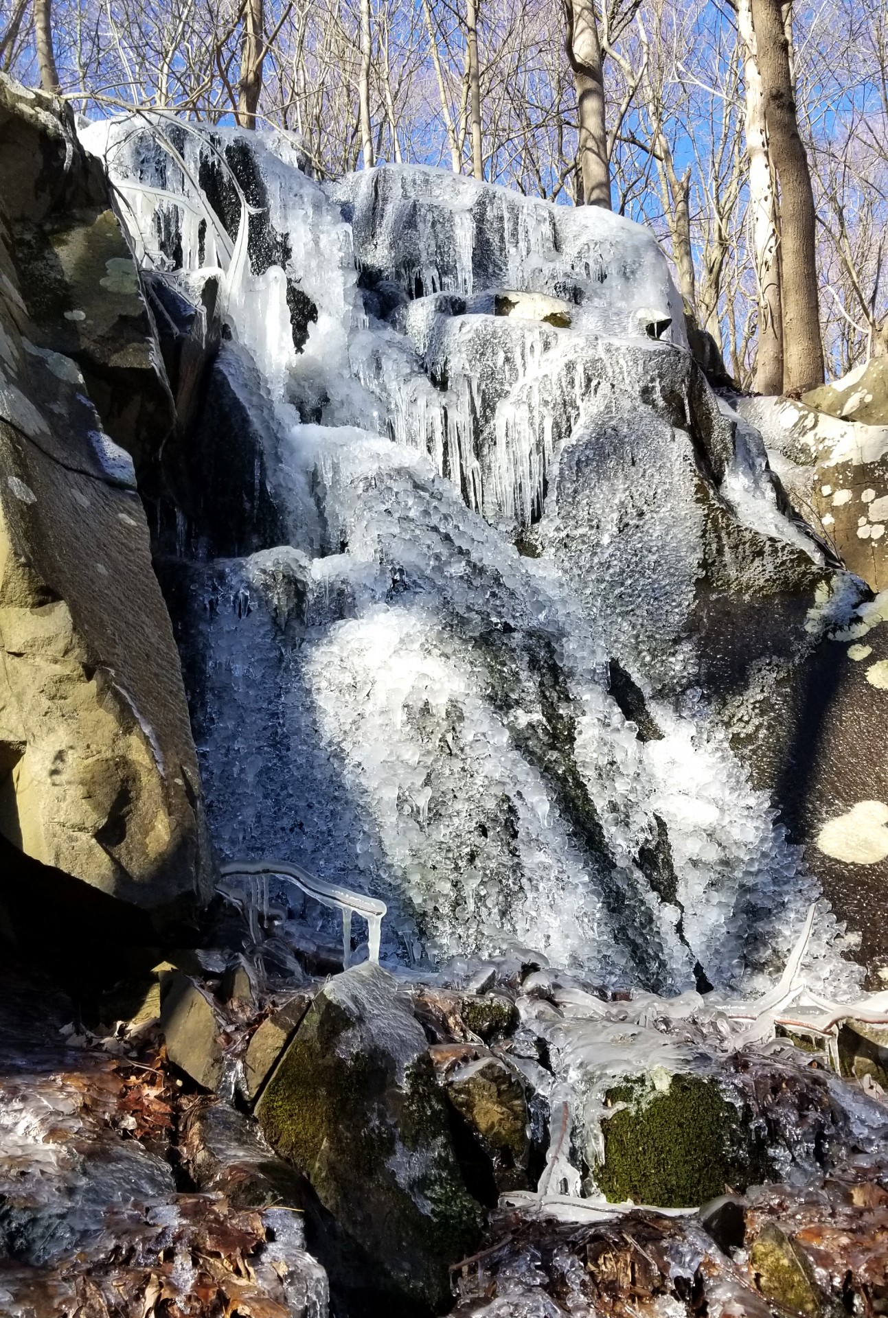 An ice-covered waterfall on the Hudson Palisade cliff, near Lamont-Doherty Earth Observatory. Photo: Bill Menke 20210303_091700a - William Menke