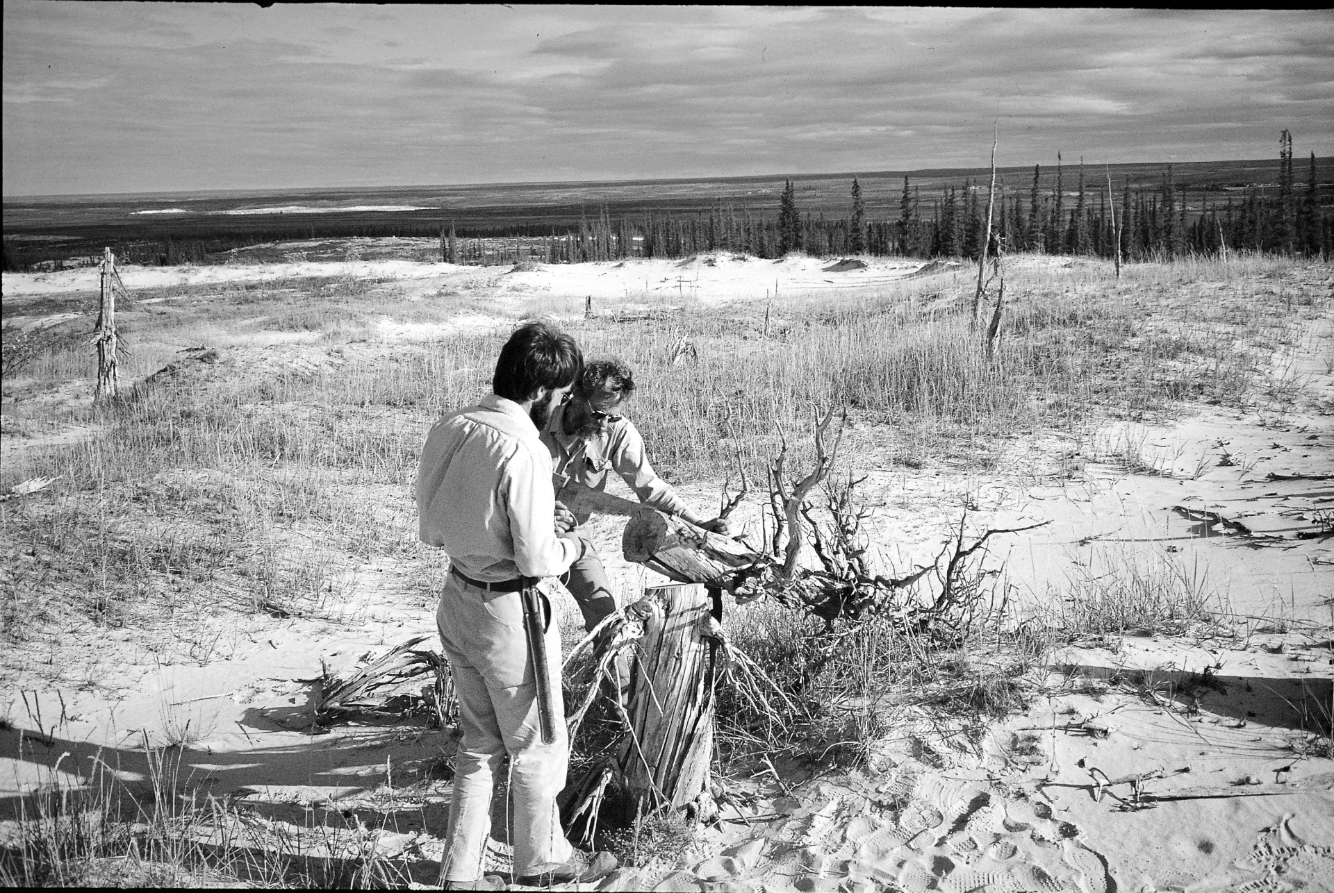 Researchers <a href="https://www.earth.columbia.edu/articles/view/3204">Gordon Jacoby</a> and Jobie Carlisle saw a log section of old white spruce for paleoclimatic studies in Thelon River, Canada, in the summer 1984. Photo: Rosanne D'Arrigo Jacoby & Jamey (?)