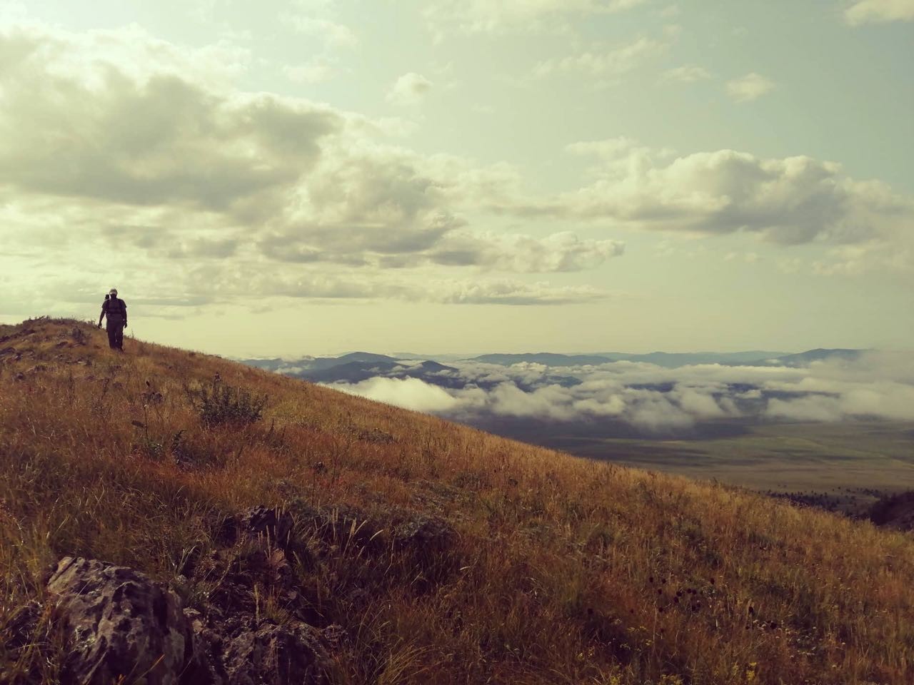 Graduate student Mukund Rao searching for old trees to sample in the high elevations of Bulgan, Mongolia in July 2019. Rao uses tree-rings to understand long-term climate and streamflow variability. Photo: Mukund Rao IMG_1459 - Mukund Palat Rao