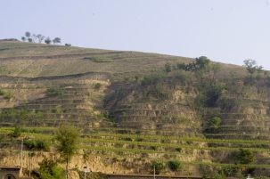 farmland on terraces as part of ecorestoration project in china