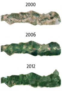Satellite imagery showing an area getting greener over time due to ecorestoration