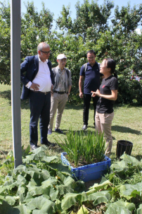 people standing near garden