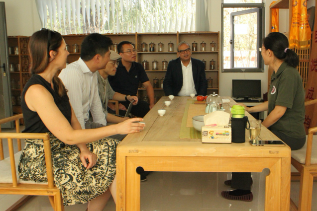 researchers meet around table with tea