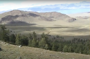 forest on mountain side overlooking valley
