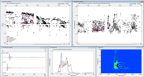 Pacific white-sided dolphins detected on the PAM system (high frequency echolocation clicks). Pacific white-sided dolphins detected acoustically with PAM (high frequency echolocation click trains).