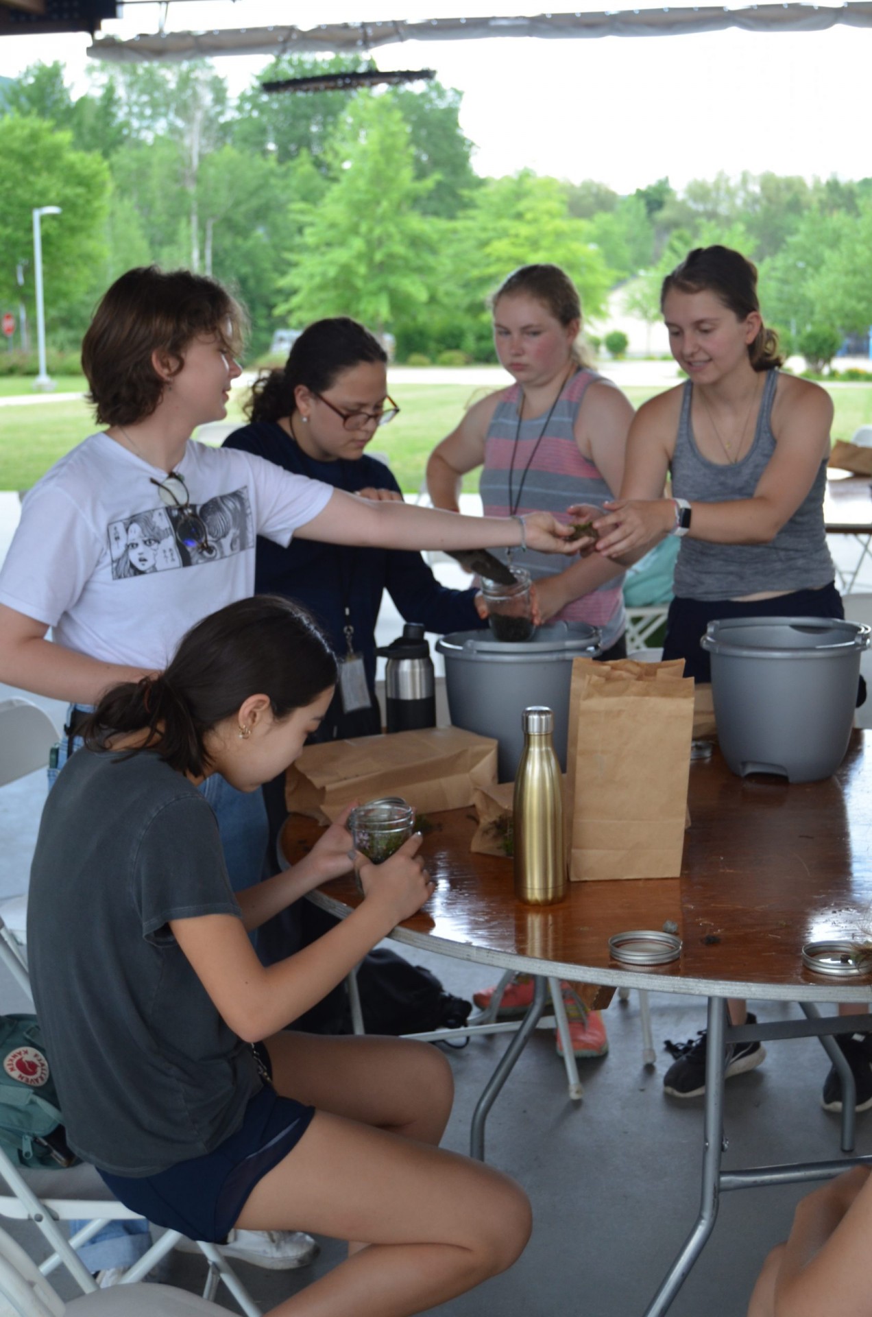 They filled mason jars with soil, charcoal, moss, and ferns. DSC_0091