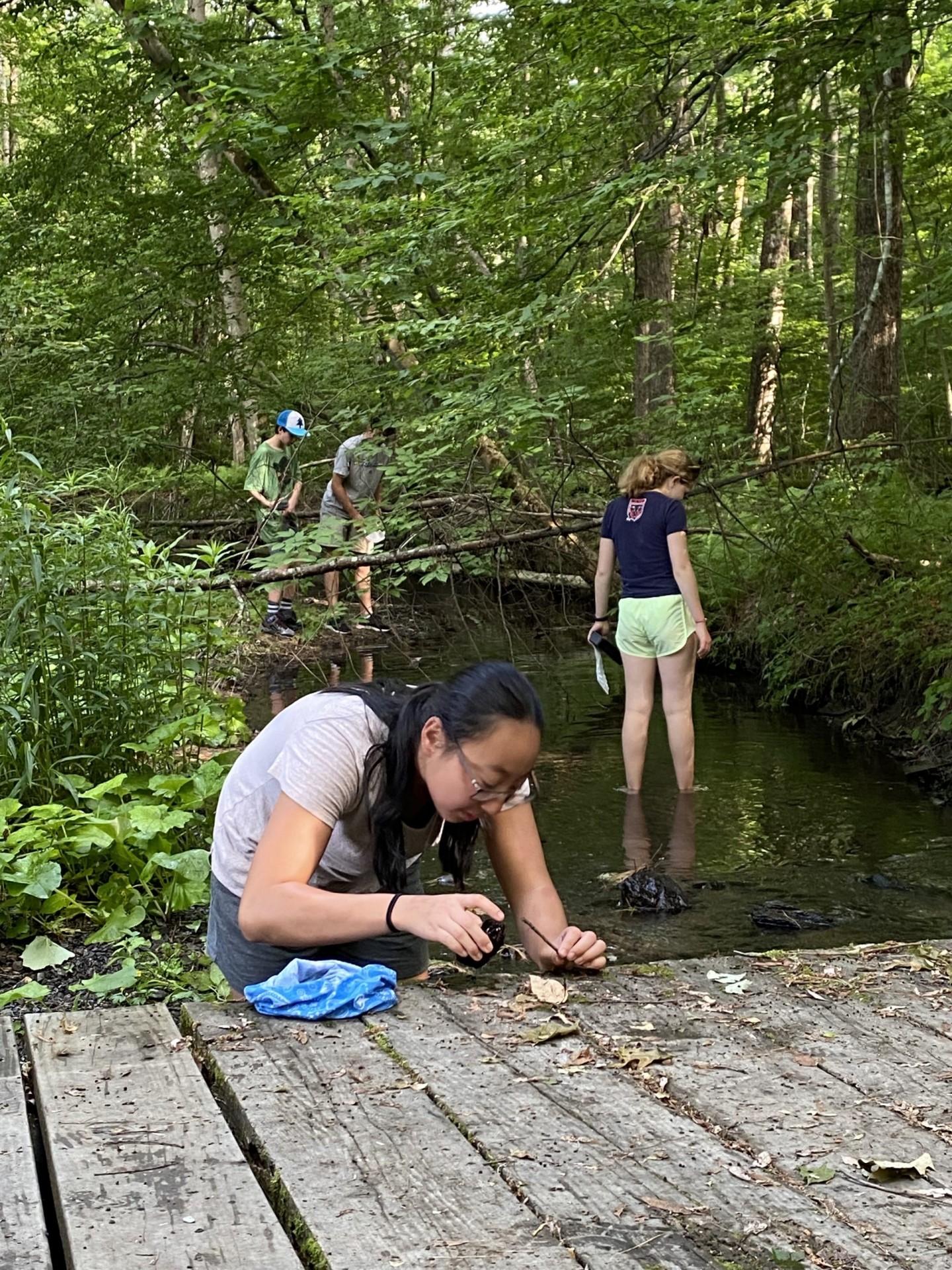 In the afternoon, a small group headed to the creek to see what invertebrates they could find. IMG_3614