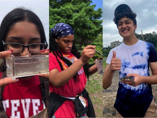Next Gen participants exploring environmental science on the banks of the Hudson River.