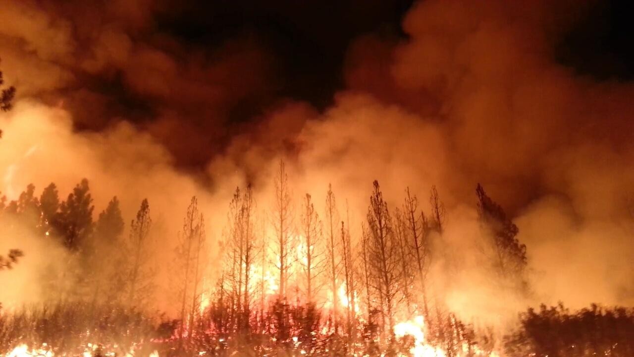 The Rim Fire in the Stanislaus National Forest near in California began on Aug. 17 2013 0004.jpg