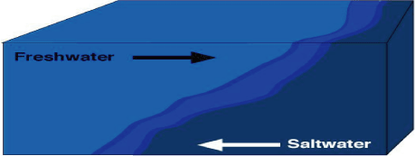 salt wedge