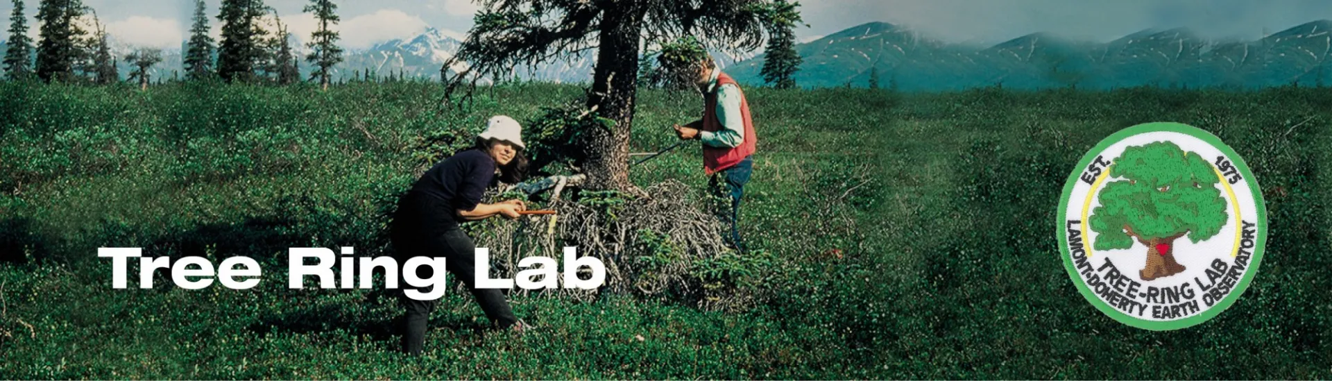 Tree Ring Lab scientist Rosanne D'Arrigo