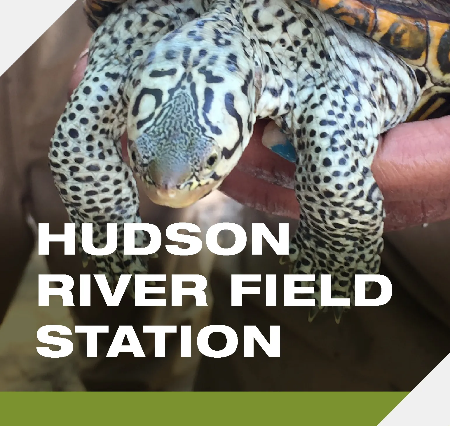 Lamont-Doherty Hudson River Field Station