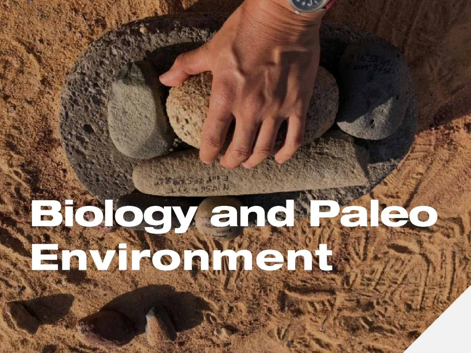 Stone Tools Collected at Gobero Archaeological Site in Niger - Credit: Kevin Uno