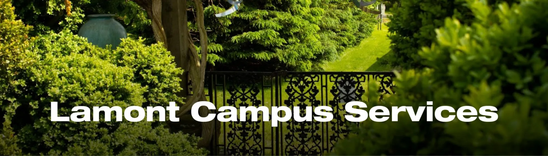Lamont Campus Services - Photo of Lamont Perennial Garden by Miriam Cinquegrana