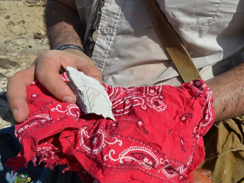 A tuff sample collected from East Africa’s rift valley. Credit: Kevin Krajick/Earth Institute