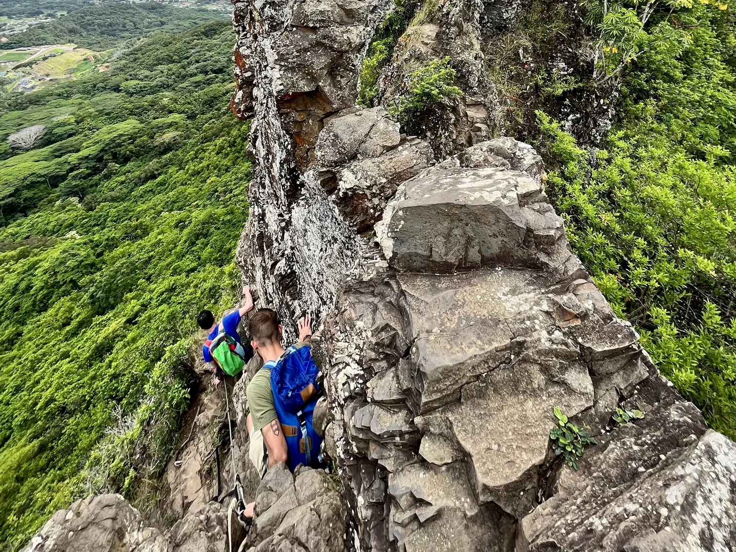 LDEO postdocs traversing a volcanic dike on the Olomana Trail in Oahu. Credit: Brandon Shuck