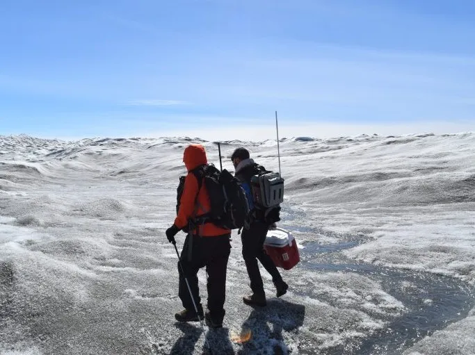 Algae growing on the surface of the Greenland ice sheet darkens the surface, hastening summer melting. Credit: Kevin Krajick/Earth Institute