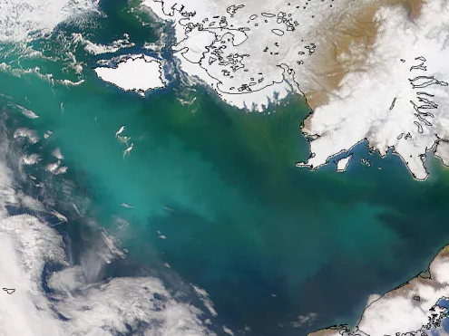 Goes-Gomes Lab - From Sea to Changing Sea