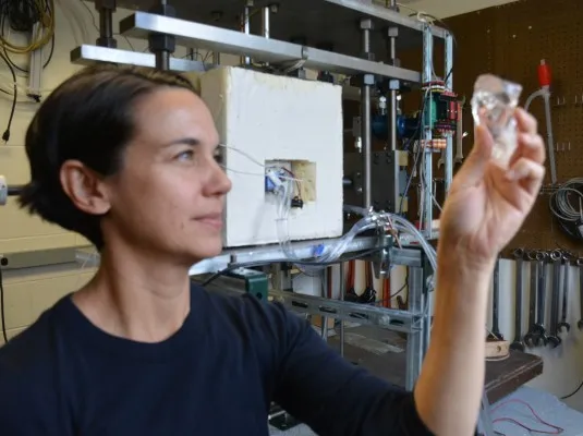 Christine McCarthy in the Rock Mechanics Lab