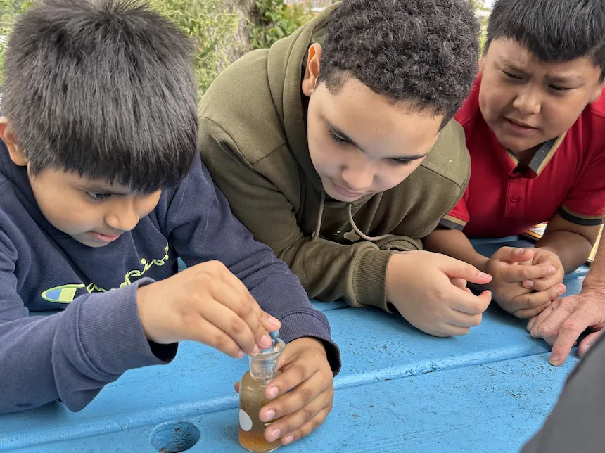 Sampling Dissolved Oxygen