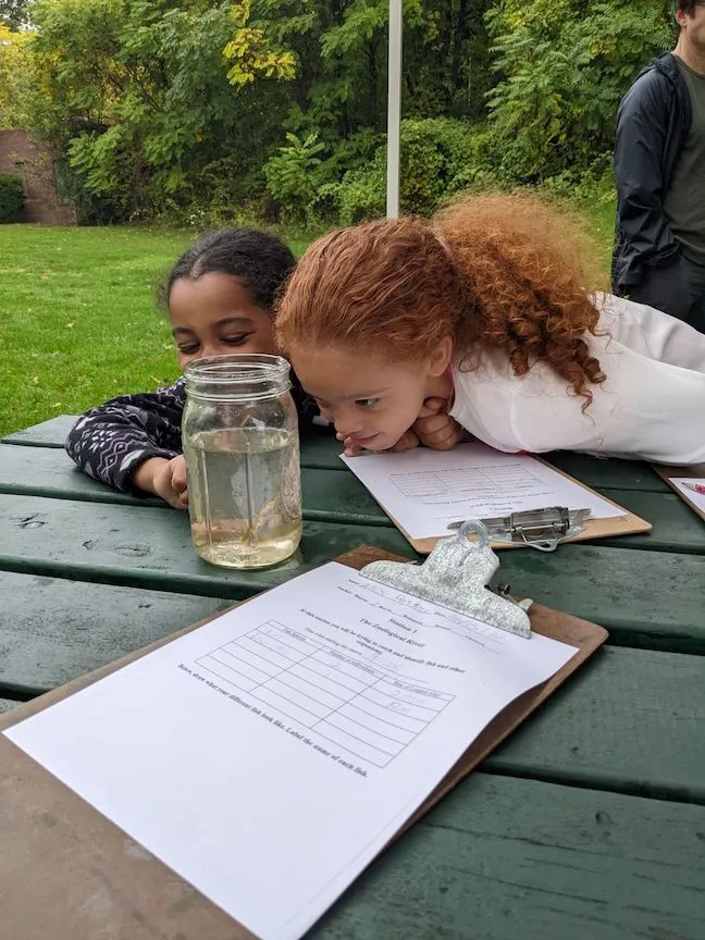 Recording Data