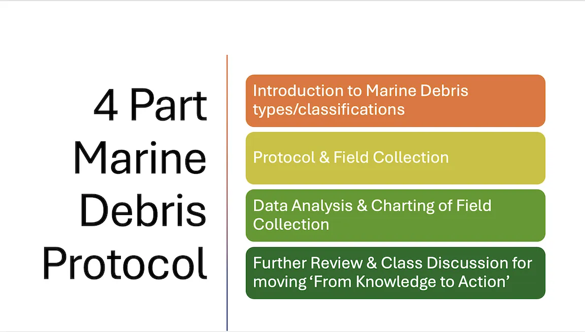 Marine Debris 4 parts
