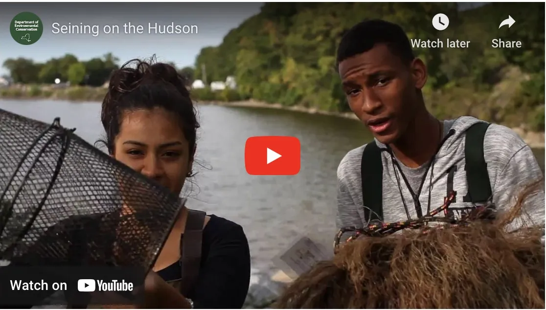 Seining on the Hudson